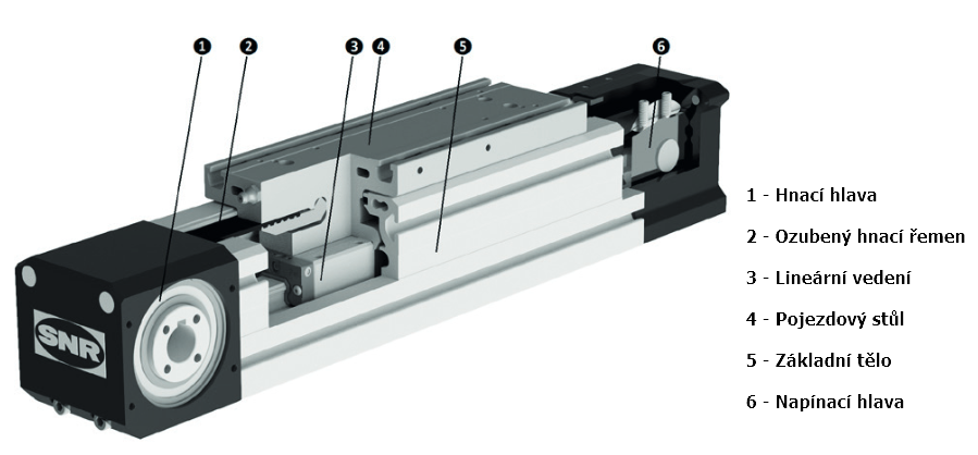 AXE e SECTION 1