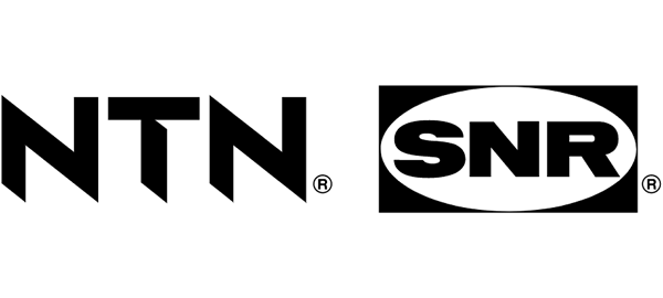 ntn snr logo