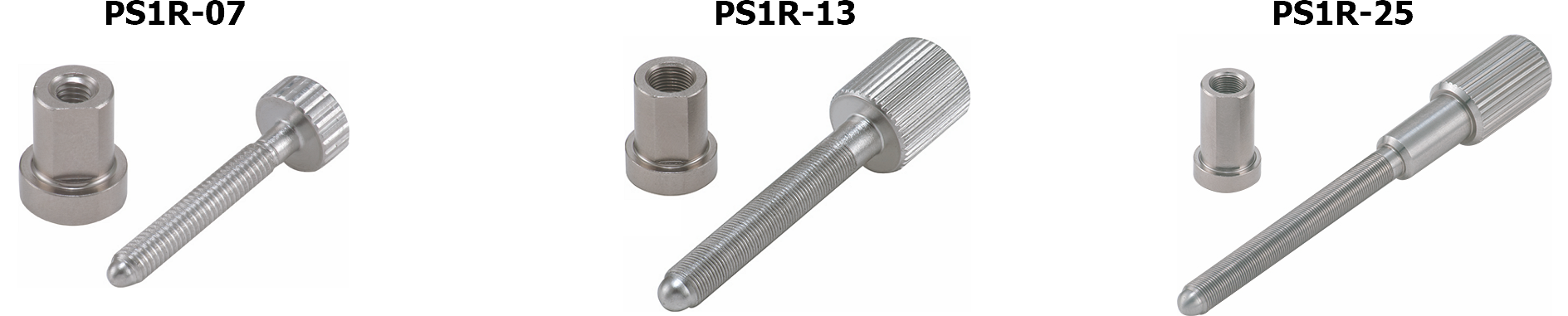 PS1R