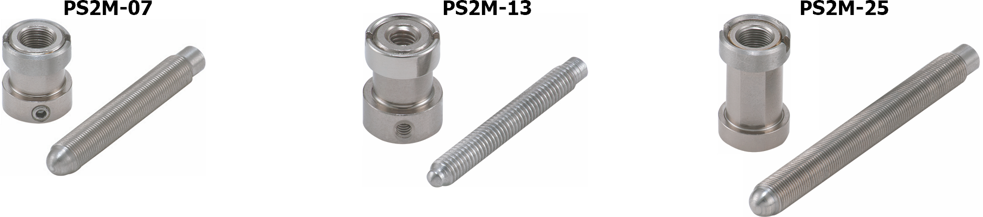 PS2M