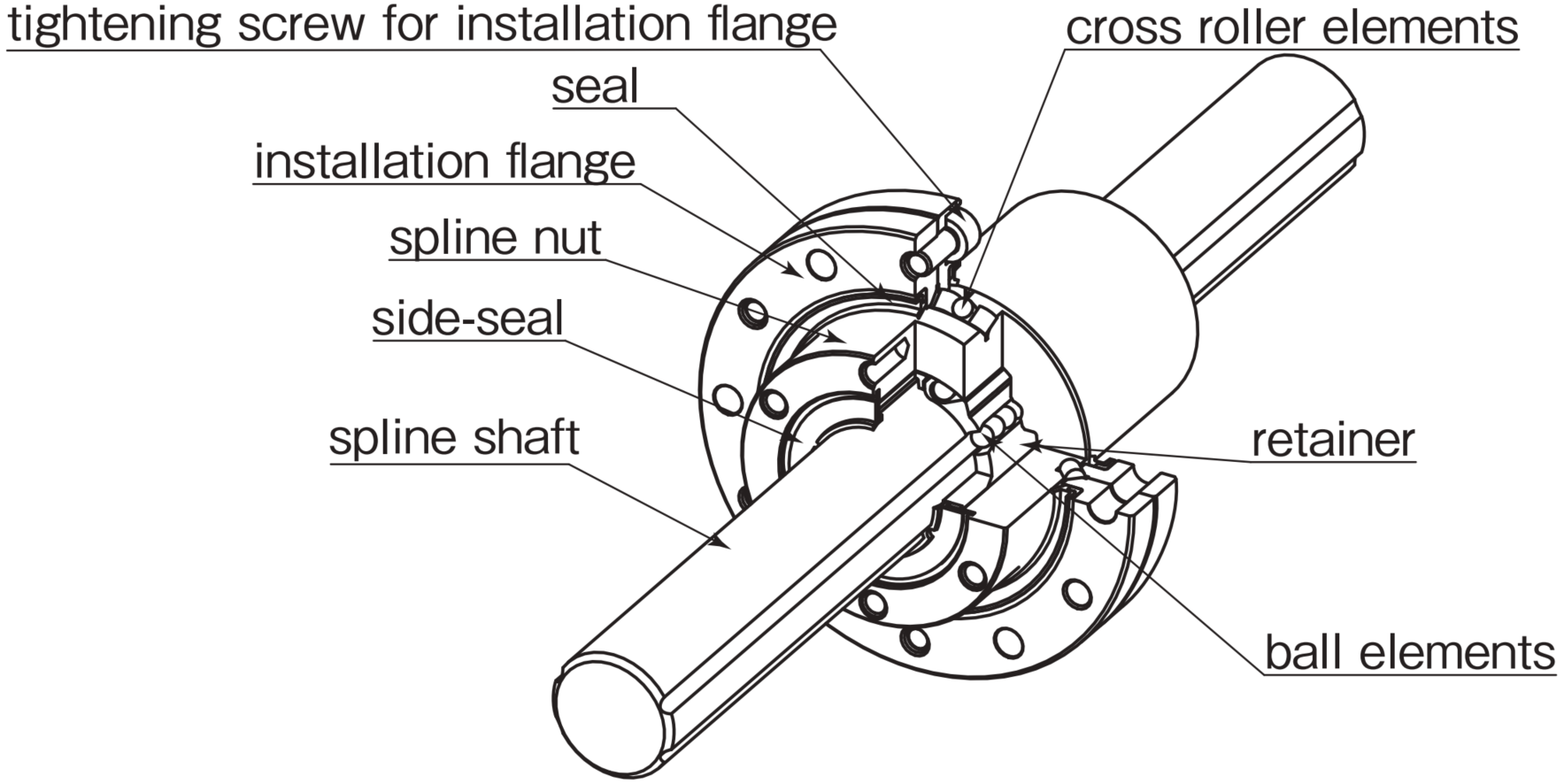 rotary1 dolni