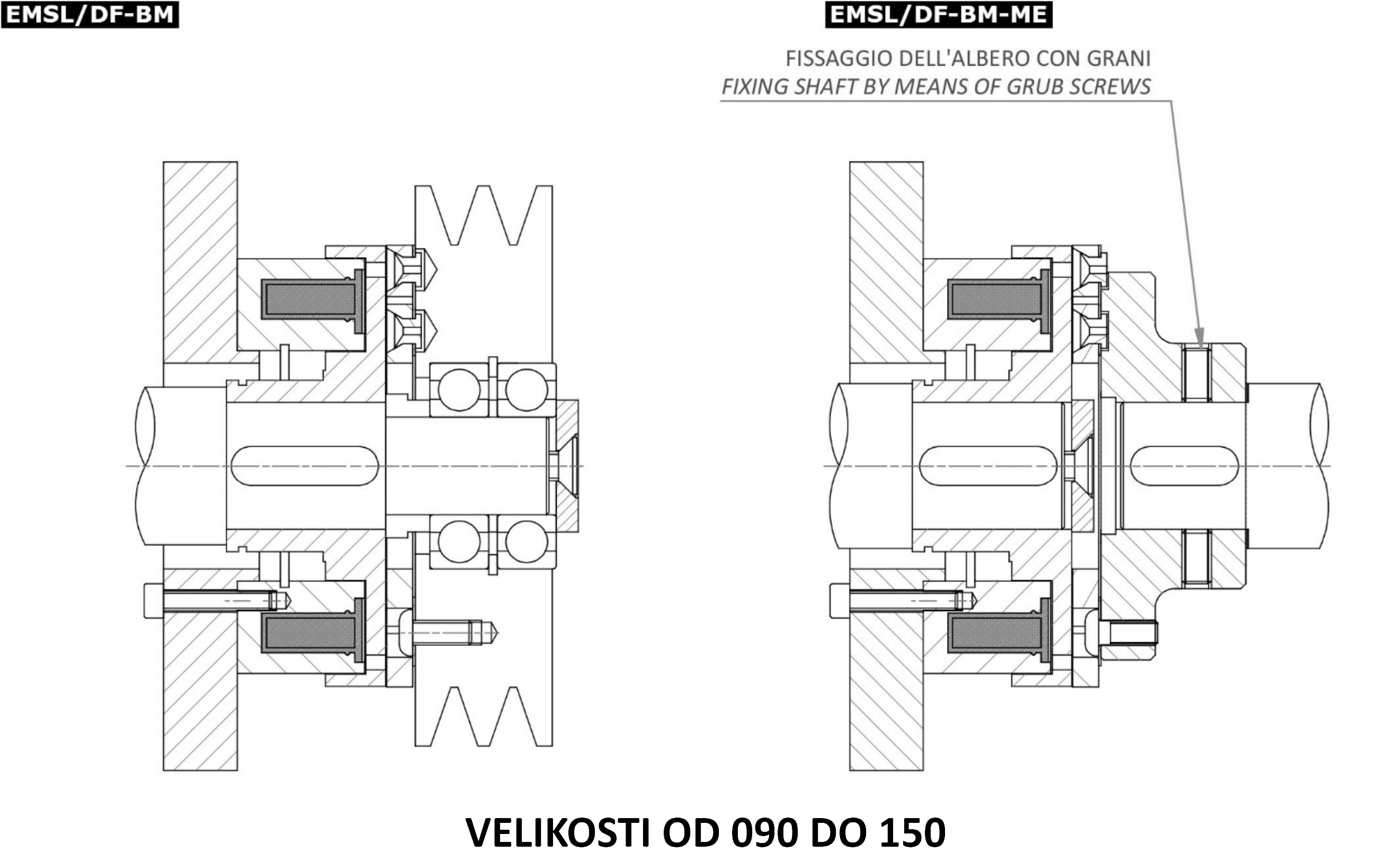emsl df bm1