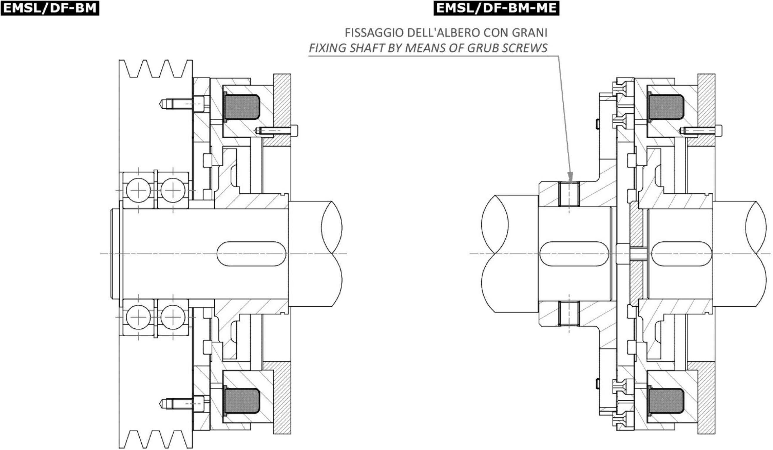 emsl df bm2
