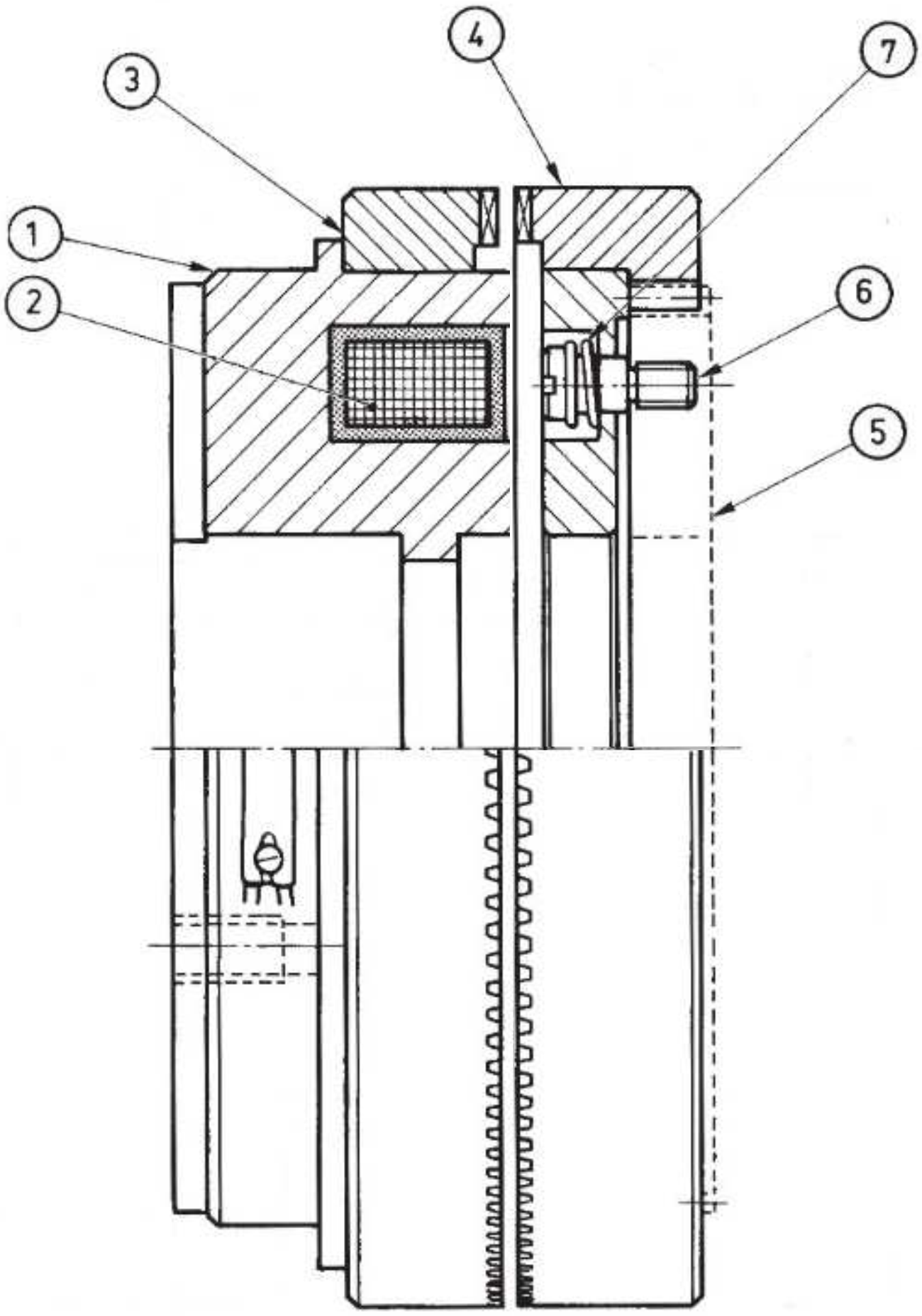 eblf zd